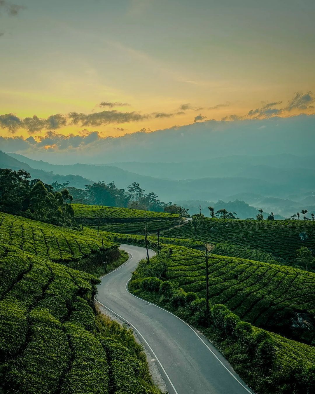 Munnar hills
